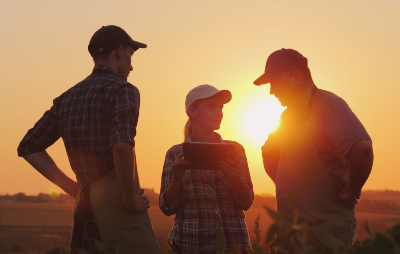 card-teaser-farmers-field-tablet