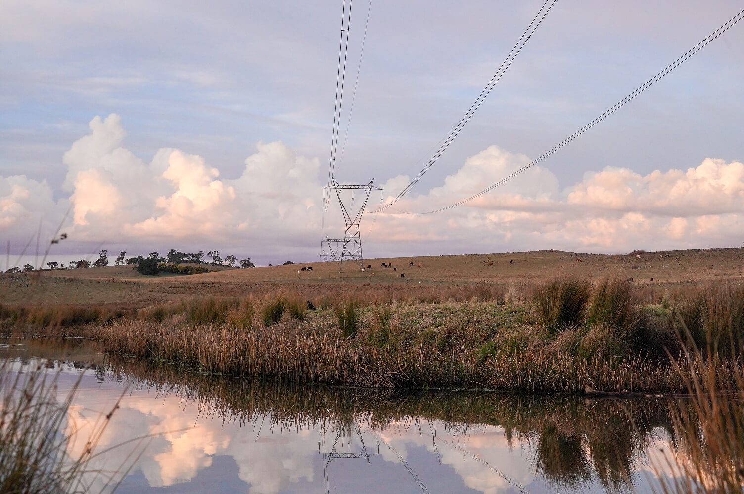 Transmission line near Armidale.