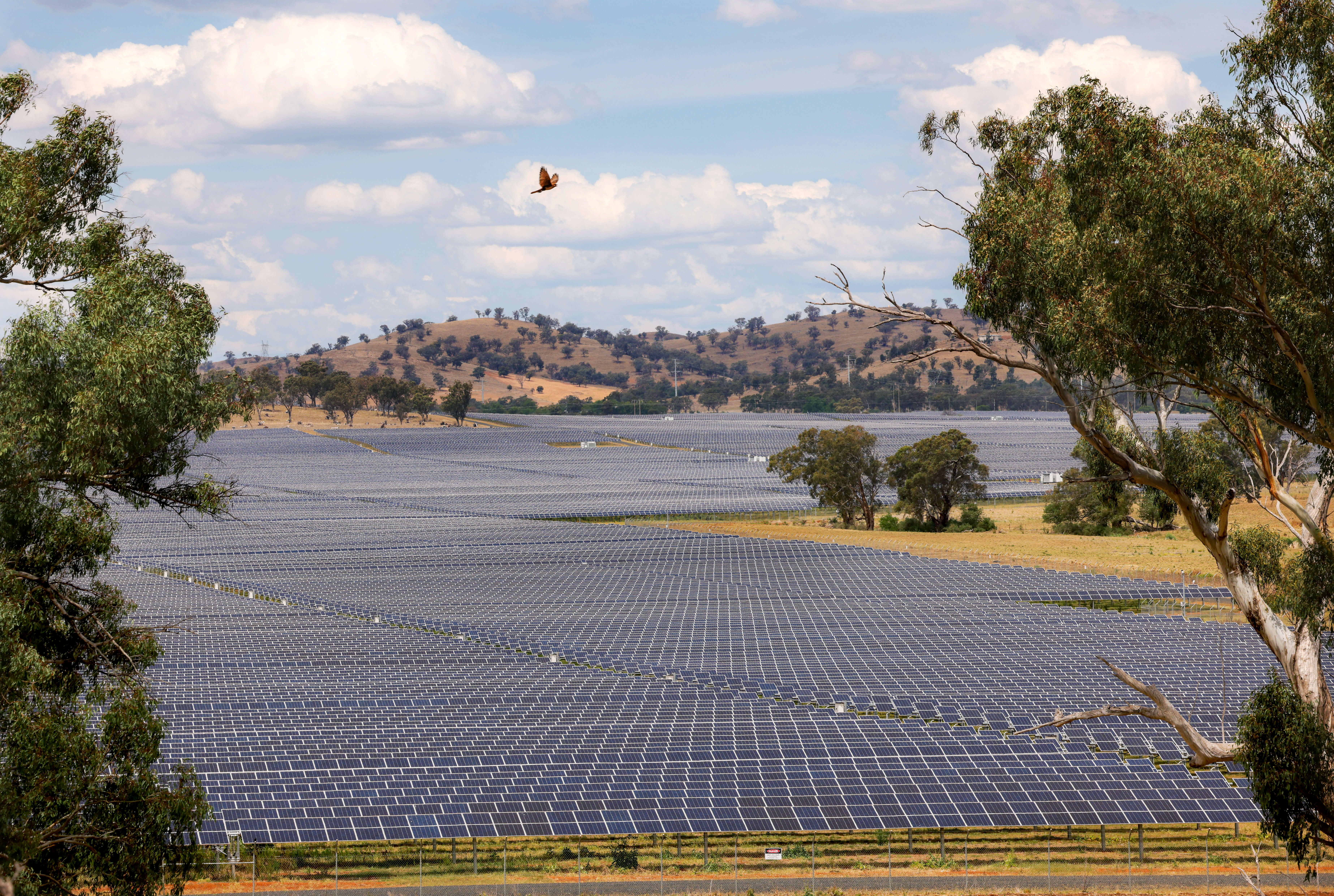 cwo-rez-solar-project-wellington