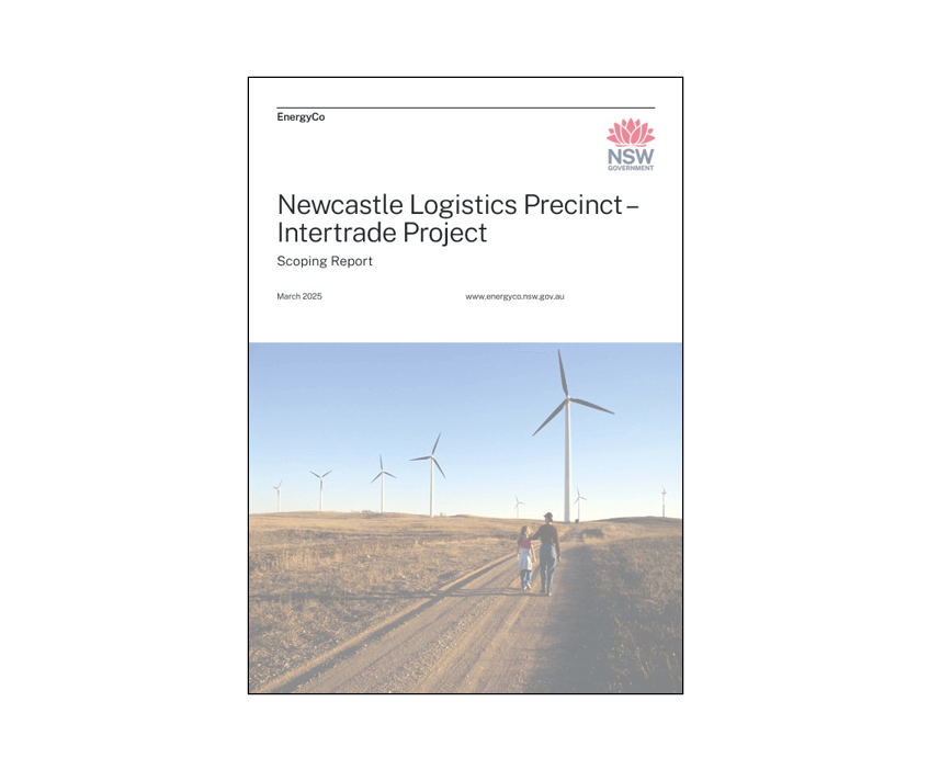 Newcastle Logistics Precinct scoping report front cover