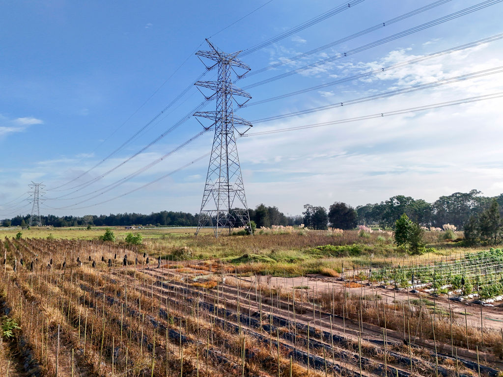 500 kV tower and lines (viewed from 100m)